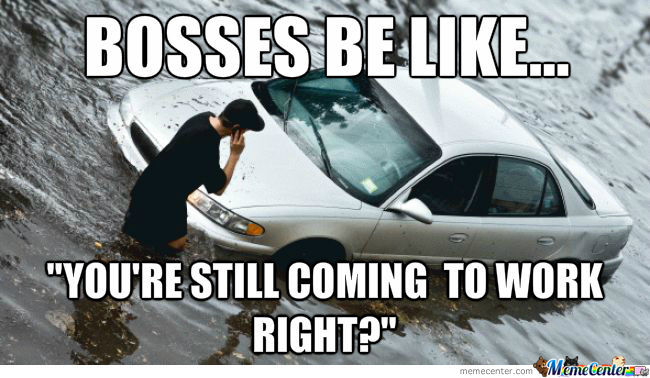 bosses-be-like_o_1340727